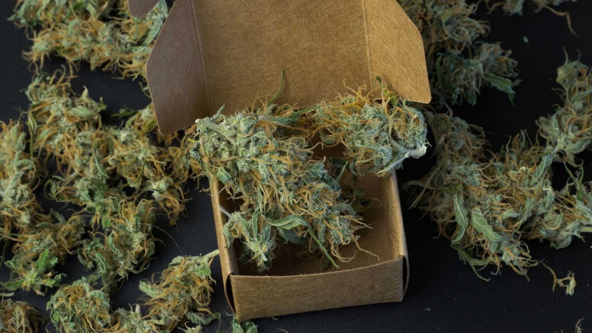 Top10 buds delivery companies in Atlanta